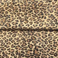 Item thumbnail for item 037ee809-f5eb-47f7-a277-2a7be4532916