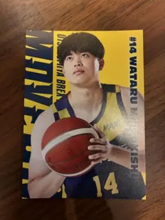 Item thumbnail for item 5e460ef8-959d-4fcd-9b76-48453f1348ef