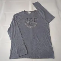 アバクロンビー&フィッチ 長袖ロゴTシャツ Mサイズ グレーのサムネイル