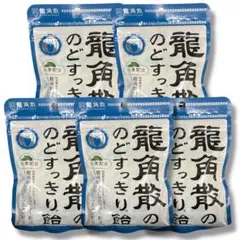 新品 100g×5袋セット 龍角散 のどすっきり飴 のど飴 食品 菓子 あめ