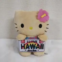 2025年最新】ガングロキティ ハワイの人気アイテム - メルカリ