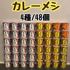 2026年最新】カレーメシ 箱買いの人気アイテム - メルカリ