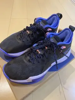 asics NOVA SURGE LOW 2 25cm 新品未使用