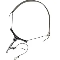 Item thumbnail for item 9325b55c-5a5f-41c7-944d-492ab6e165a5