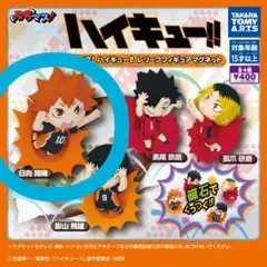 ハイキュー!! ぶちマス！ 日向翔陽