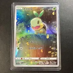 2025年最新】ナエトル arの人気アイテム - メルカリ