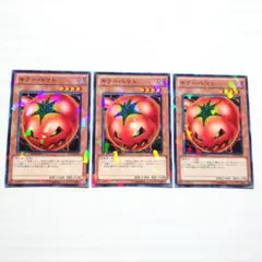 遊戯王 キラー・トマト DT11 ノーパラ ノーマルパラレル 3枚