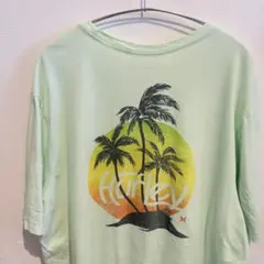 Hurley バックプリントT ミント XXL 夏柄　オーバーサイズ　D-14