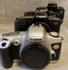 2026年最新】canon eos5 フィルムカメラの人気アイテム - メルカリ