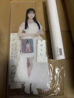 Item thumbnail for item 805f8168-0d3f-4a71-a6ab-5a2d613604a0