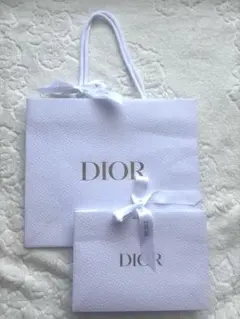 Dior ディオール リボン付き ショッパー 紙袋 2枚セット