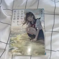 きみが明日この世界から消える前に