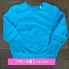 C&A恐竜エンボス加工トレーナー110cm