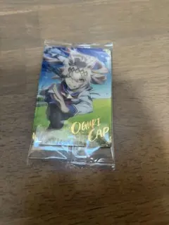 Item thumbnail for item 2a2dc445-6bc1-4cd0-a31b-d5a328c54f3f