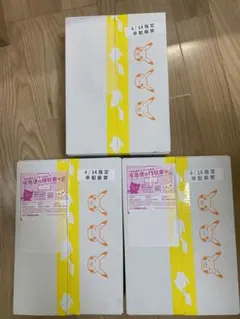 値下不可ジムセット　スノーハザード&クレイバースト　3個　ポケセン産　ナンジャモ