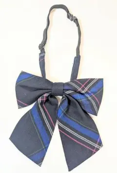 Item thumbnail for item 2380d1c4-a5fe-4d85-b719-e5e69a078e3a