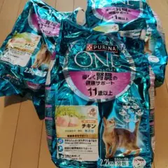 Item thumbnail for item f182faf8-851c-43dc-b1ec-c5b453faedbf