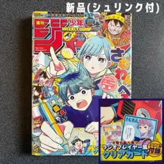 週刊少年ジャンプ 2025年42号 新連載 さむわんへるつ表紙 - メルカリ