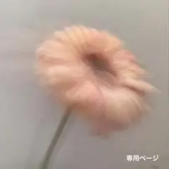 あやたか様専用·̩͙