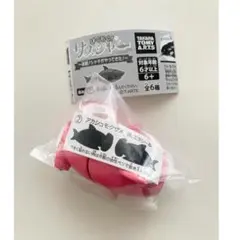 ぱくもぐ！サメジャー第3弾　シュモクザメ　ガチャガチャ