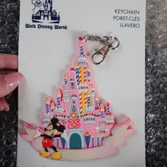 希少★ディズニーワールド レトロヴォールトキャンディピンクキャッスル25周年