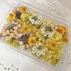 momoopy様 リクエスト 2点 まとめ商品