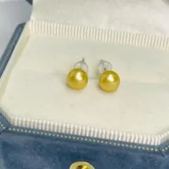 ゴールデンパール ピアス 本真珠 直結 天然パール　光沢抜群 照り良く シルバー