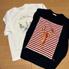 ZARA ザラ　メンズ　プリントTシャツ　2枚組みセット　【新品未使用】