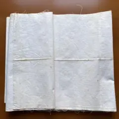 Item thumbnail for item 41939146-1dad-4577-96ab-cb6635630c7a