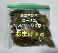 Item thumbnail for item b5c945ab-890b-488c-8487-d79747ed2fa1