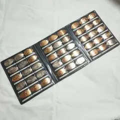 ディズニーランド スーベニアメダル 45個 ケース付き