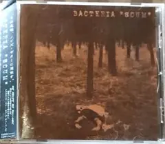 ガラ Gara 神楽 CD 邦パンク Sandinista! - メルカリ