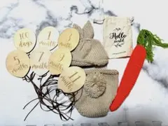 赤ちゃん用月齢フォトセット