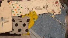 インセクトコレクション　Lサイズ