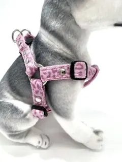 犬用ハーネス・胴輪 ハンドメイド