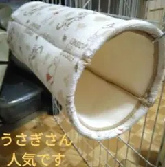 Item thumbnail for item bf0b0660-9c1f-4989-994f-05e6aa1c4cbc