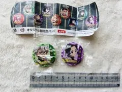 胡蝶しのぶ＋不死川実弥　缶バッジ 2個セット