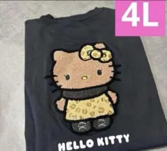 新品♡日焼けキティ　刺繍　Tシャツ　半袖　ヒョウ柄　ギャル　大きめ　ゆったり