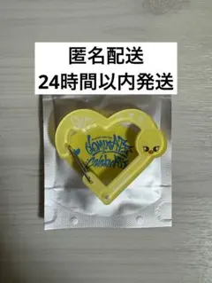 Stray Kids celebrATE ポップアップ　カラビナ　ポガリ