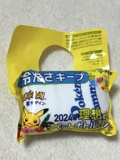 ポケモン 2024年 理想のペットボトルカバー ピカチュウ