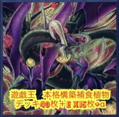 遊戯王【新規入り構築‼️】捕食植物デッキ40枚 - メルカリ