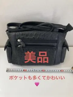 【美品】オーストリッチ