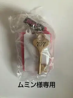 ムミン様専用　NANA ガチャガチャ　アイシャドウ　ハチ　鍵つき