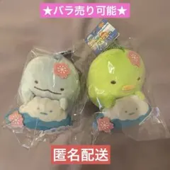 ♥︎富士山限定♥︎ 스밋코구라시 とかげ＆ぺんぎん？ 富士山でのんびりぬいぐるみ 桜