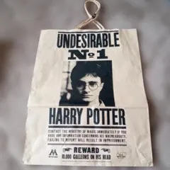 Item thumbnail for item eafbc4ea-d57c-4e20-9b27-71828908f6ef