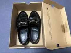 Item thumbnail for item 15347505-5099-4a73-948c-2cf29b62a623