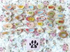 2026年最新】おらいさん苗 青札の人気アイテム - メルカリ