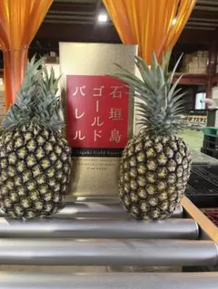 沖縄県石垣島産 ゴールドバレル パイナップル 約10kg - メルカリ