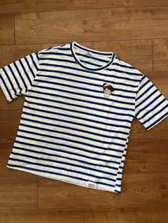 ZARA ウォーリー ストライプTシャツ