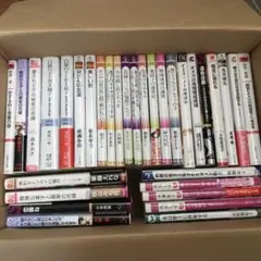 文学・小説　BL 32冊セット